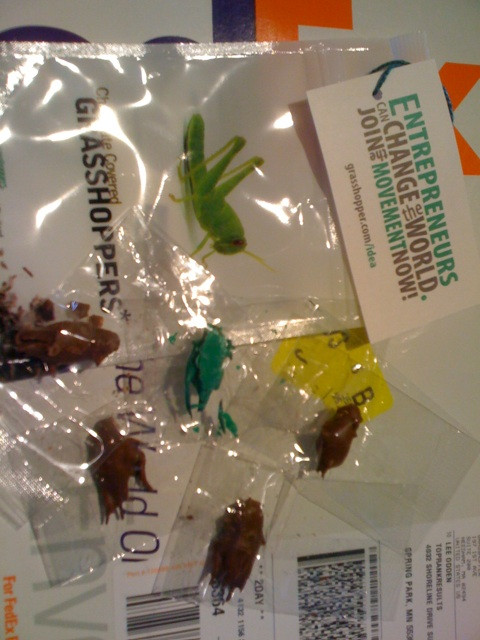 Share photos on twitter with Twitpic