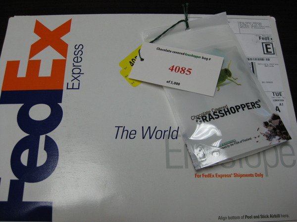 I just got FedEx'd a chocolate covered grasshopper from @cody... on Twitpic
