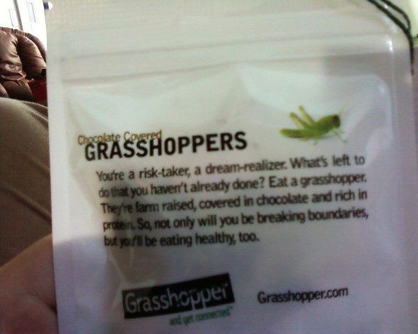 Photo of chocolate-covered grasshoppers sent to me for viral ... on Twitpic