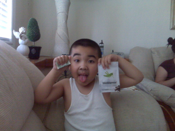 OMG!! My sister fed the chocolate covered grasshopper to my l... on Twitpic