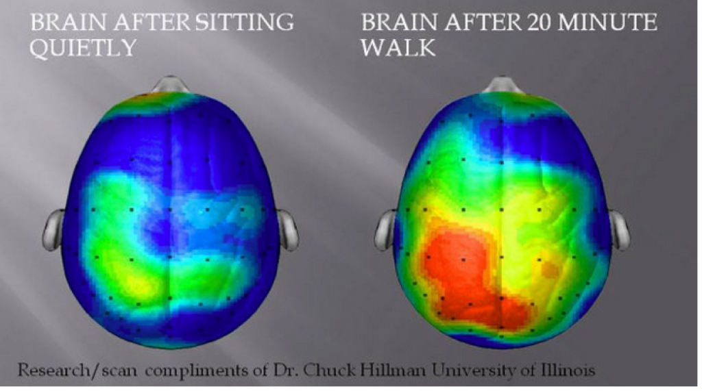 Taking a Break Does Improve Brain Efficiency 