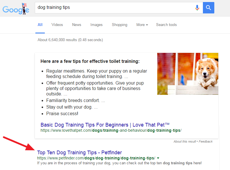 Dog Training Tips Search Query
