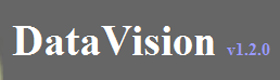 Data Vision Logo