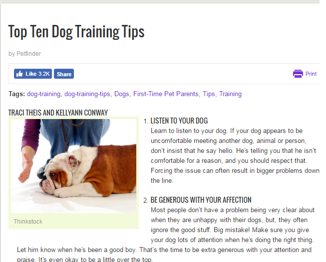 Dog Training Tips Example