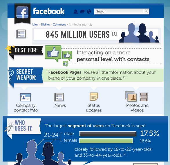 Zintro: Social media infographic