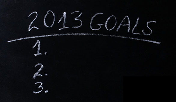2013 Goals