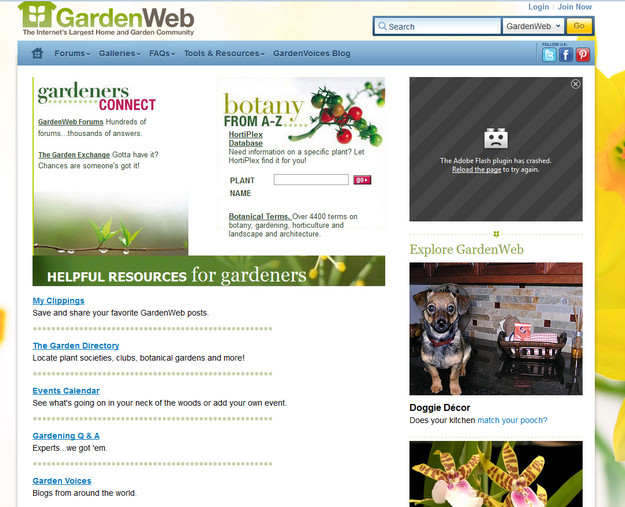 GardenWeb is an example of a creative community that’s all about nurturing “best buds”